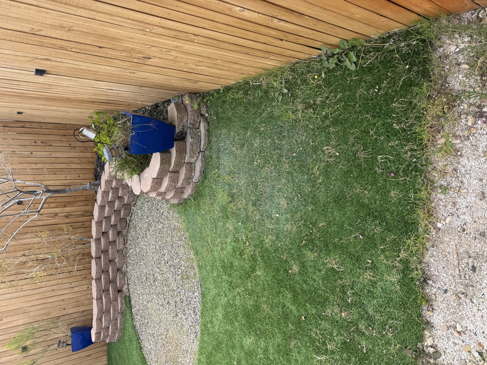 Artificial turf before cleaning - dirty, matted, and discolored